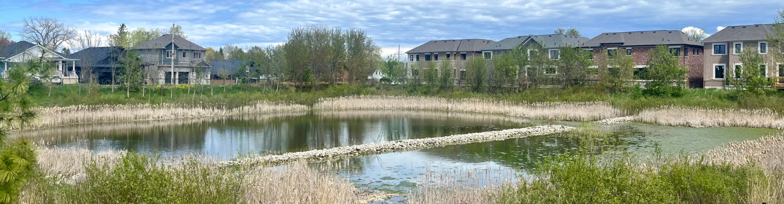 Stormwater Management Pond in Clearview